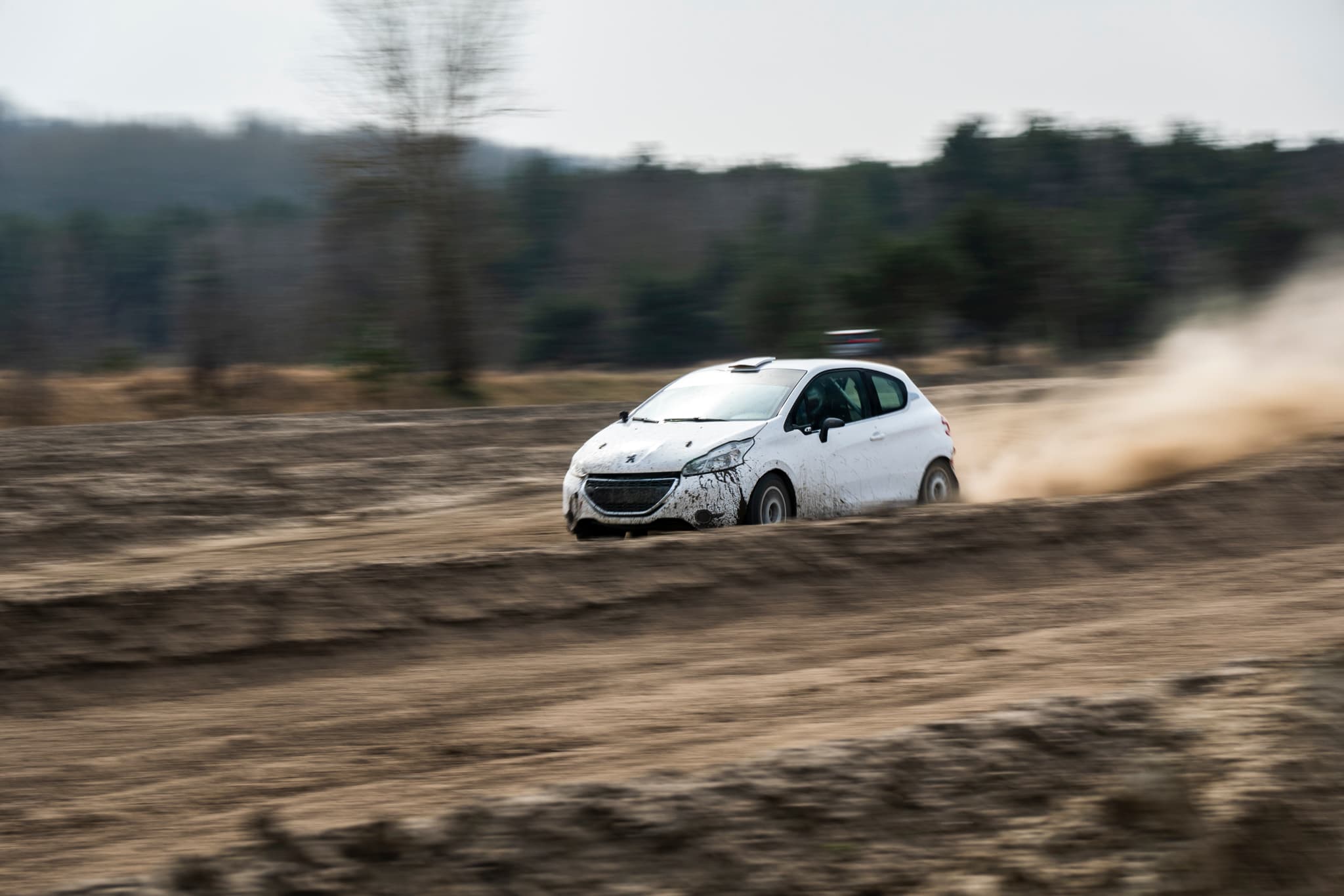 Peugeot 208 Rally2 RallyZone na odcinku szutrowym