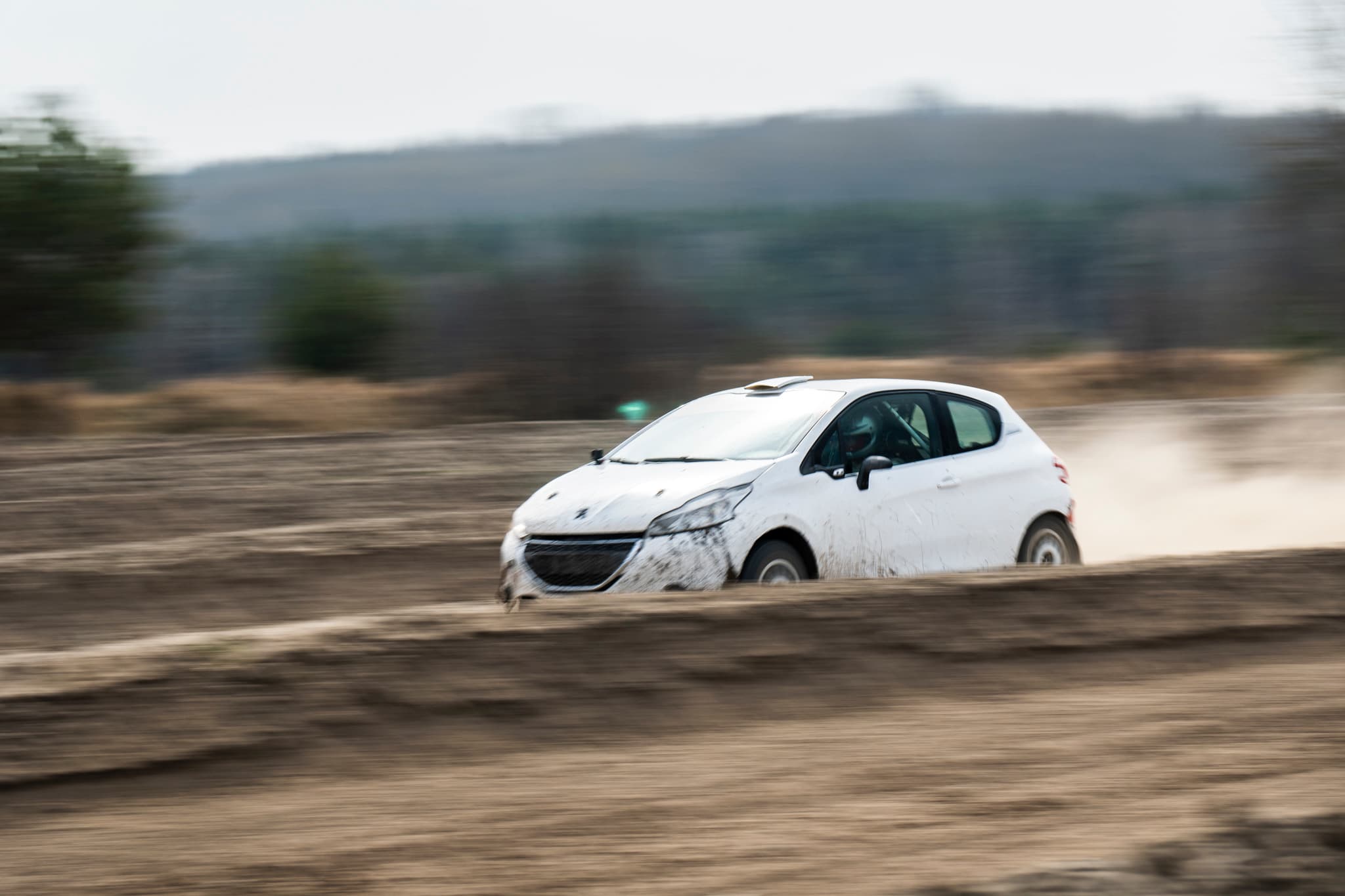 Peugeot 208 Rally2 RallyZone podczas jazdy terenowej