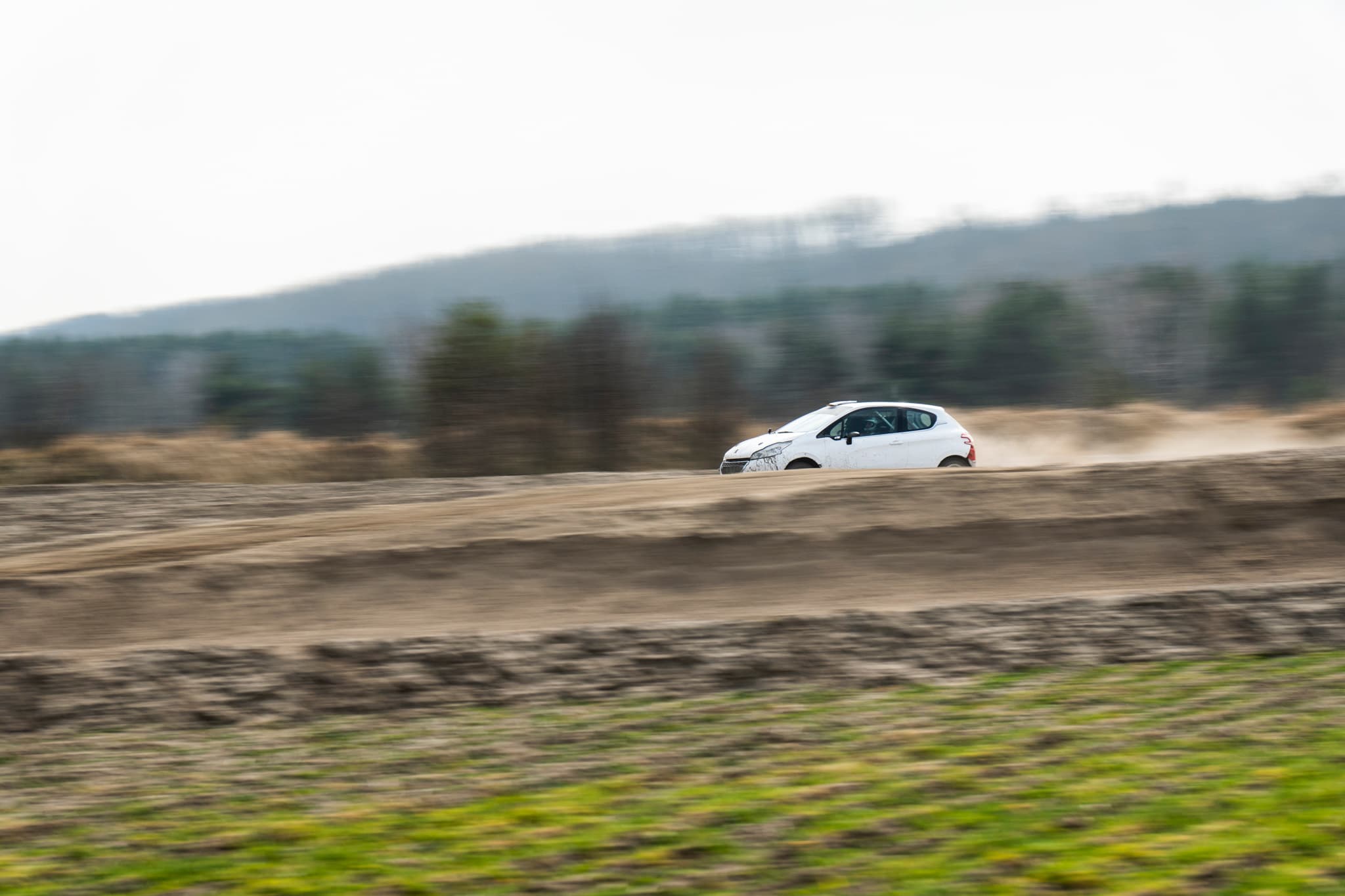 Peugeot 208 Rally2 RallyZone w pyle szutrowym