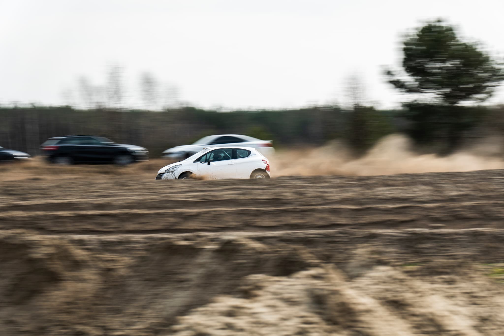 Peugeot 208 Rally2 RallyZone na drodze gruntowej