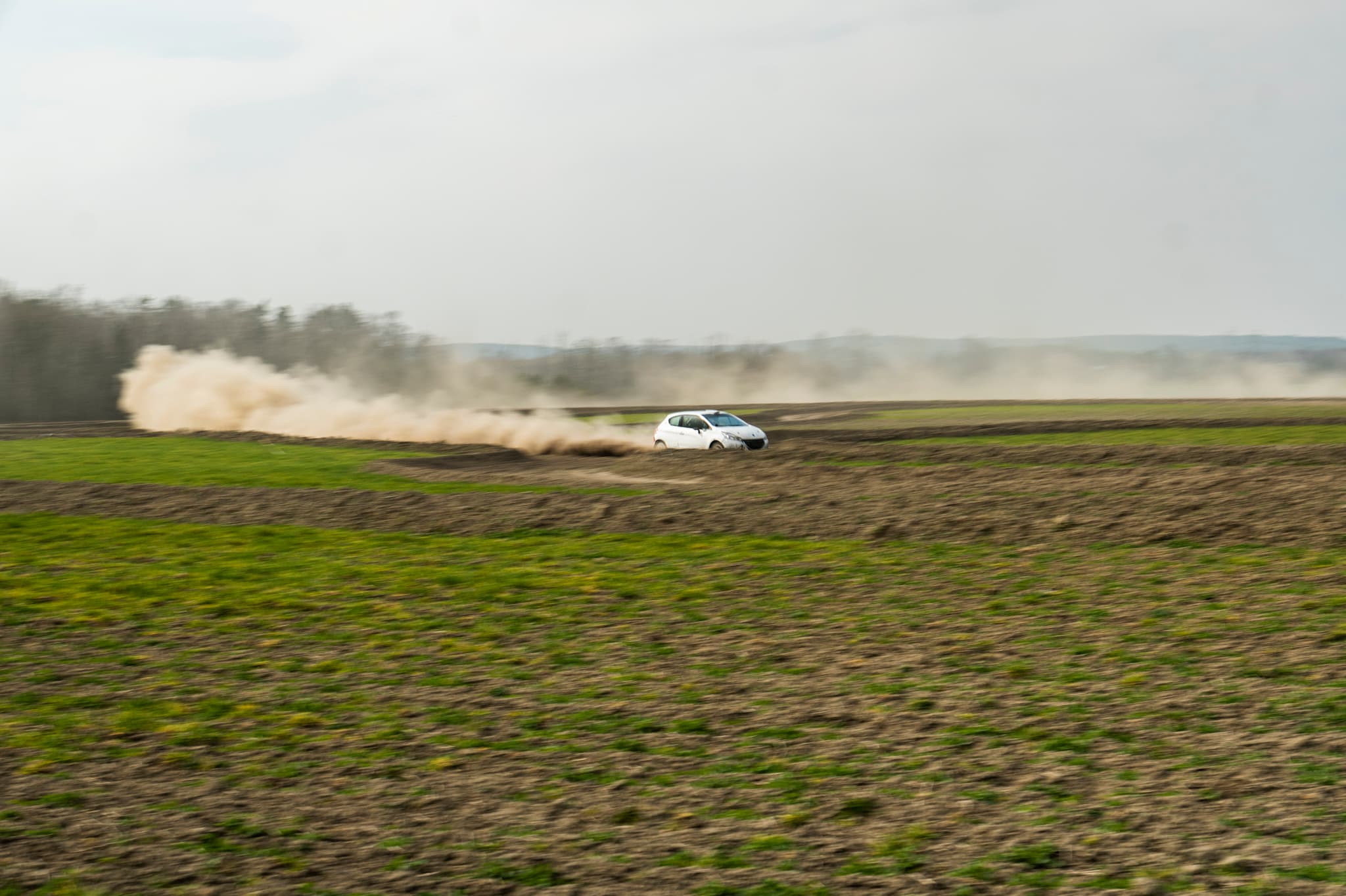 Peugeot 208 Rally2 RallyZone na odcinku szutrowym