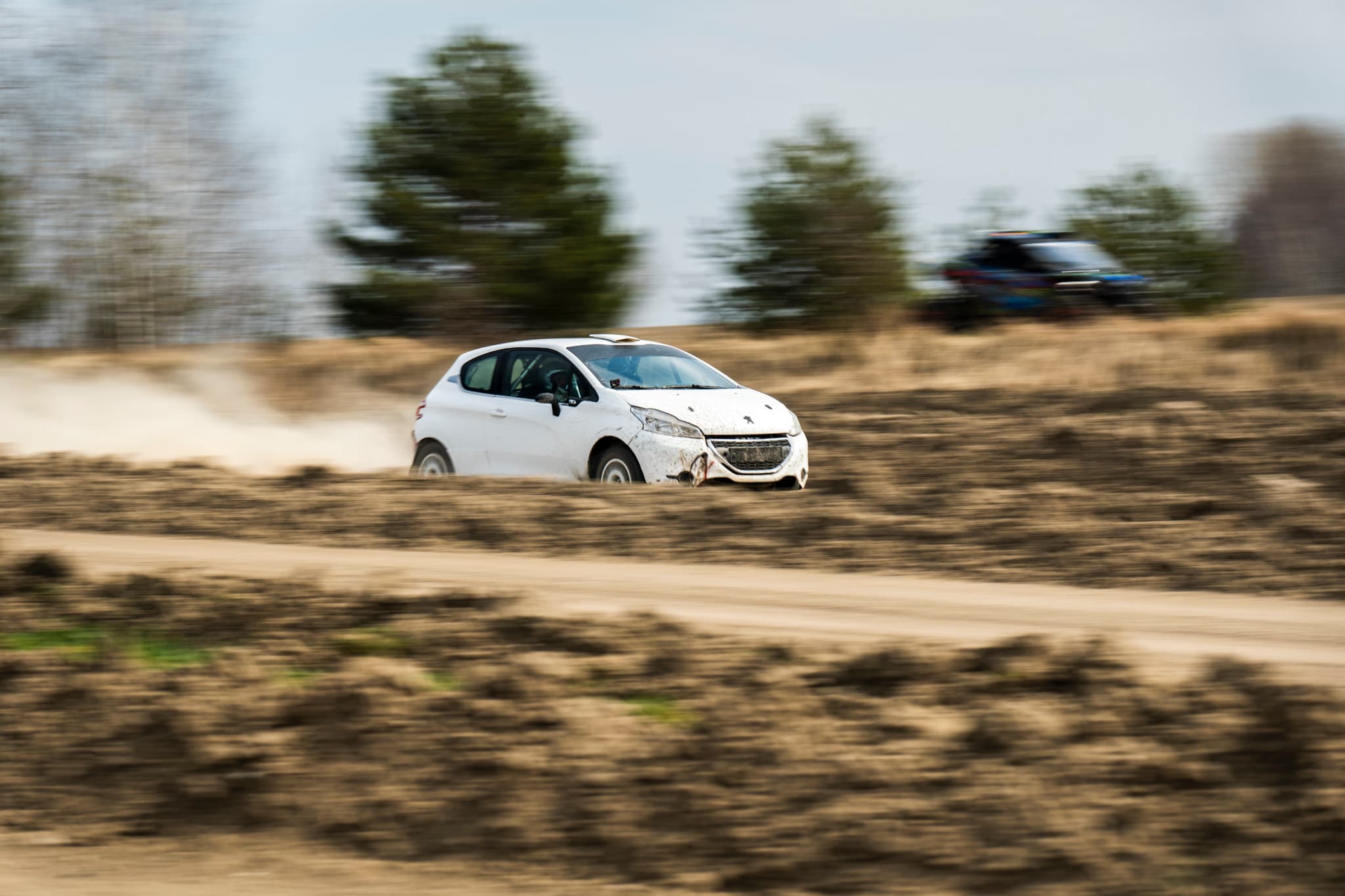 Peugeot 208 Rally2 RallyZone na szutrze z unoszącym się pyłem
