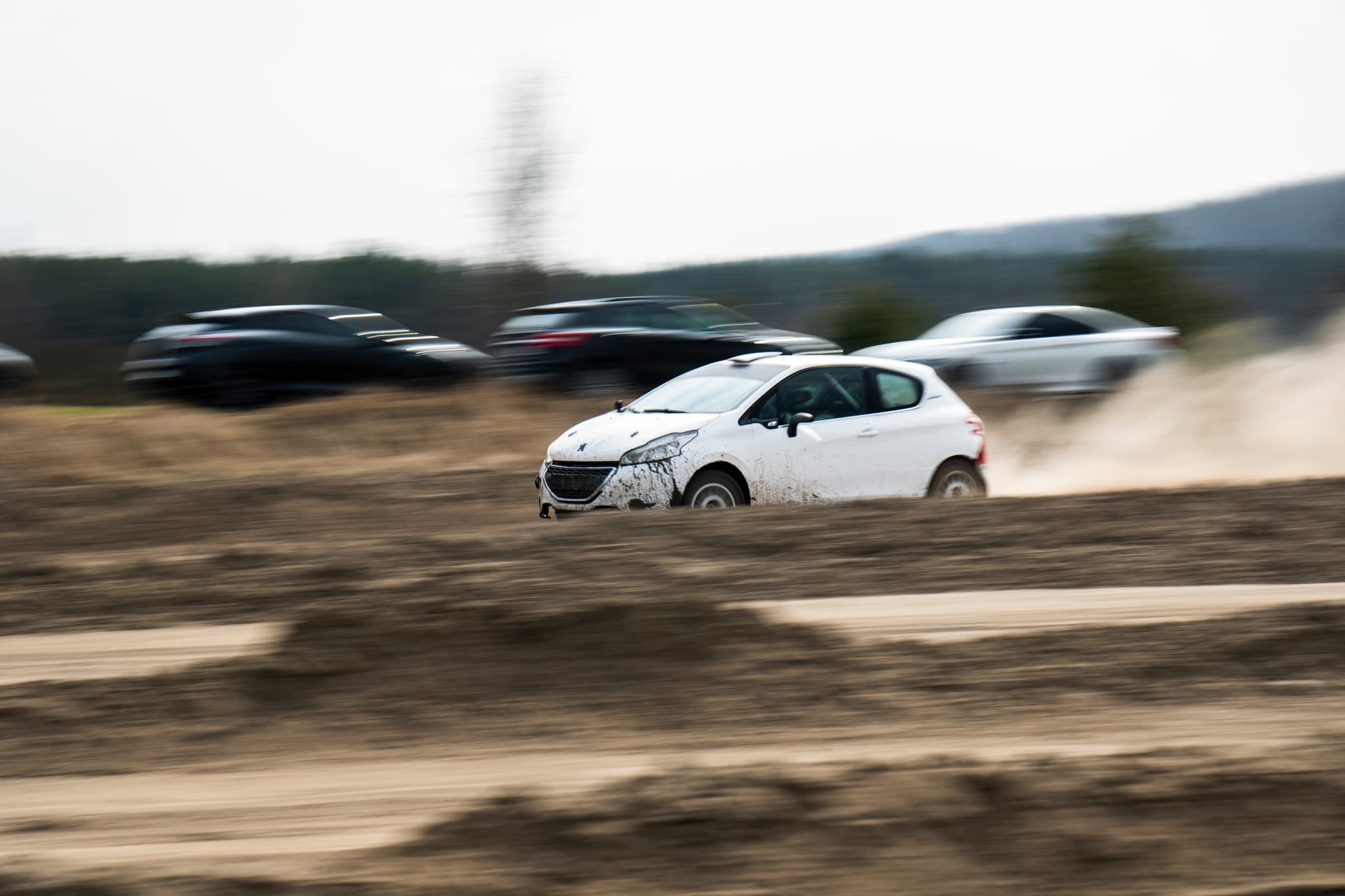 Peugeot 208 Rally2 RallyZone na szutrowej drodze