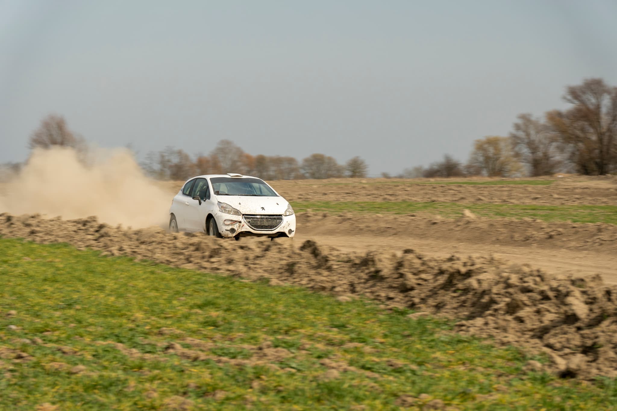 Peugeot 208 Rally2 RallyZone na odcinku szutrowym – widok z przodu